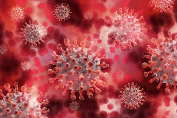 Пик антител у пациентов с COVID-19 наступает через 3-4 недели после заражения
